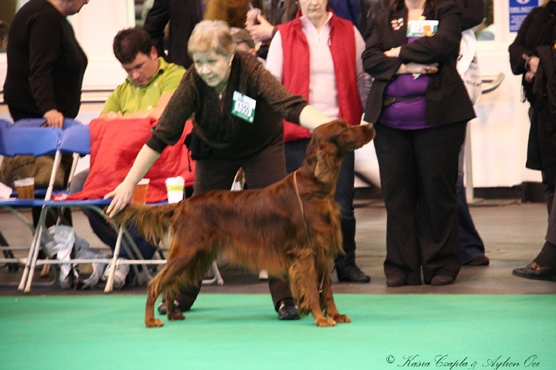 Crufts2011 435.jpg